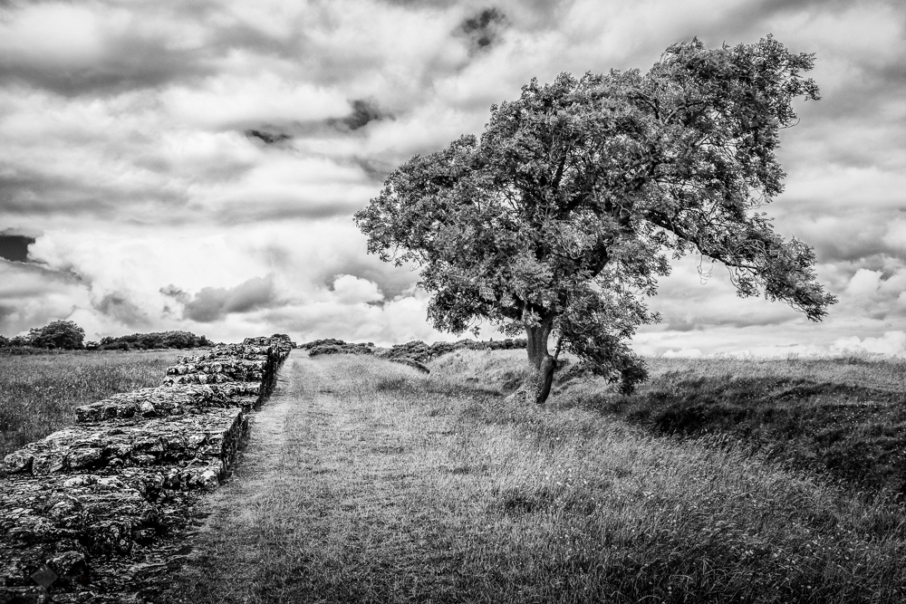 Hadrian’s Wall – Available Prints