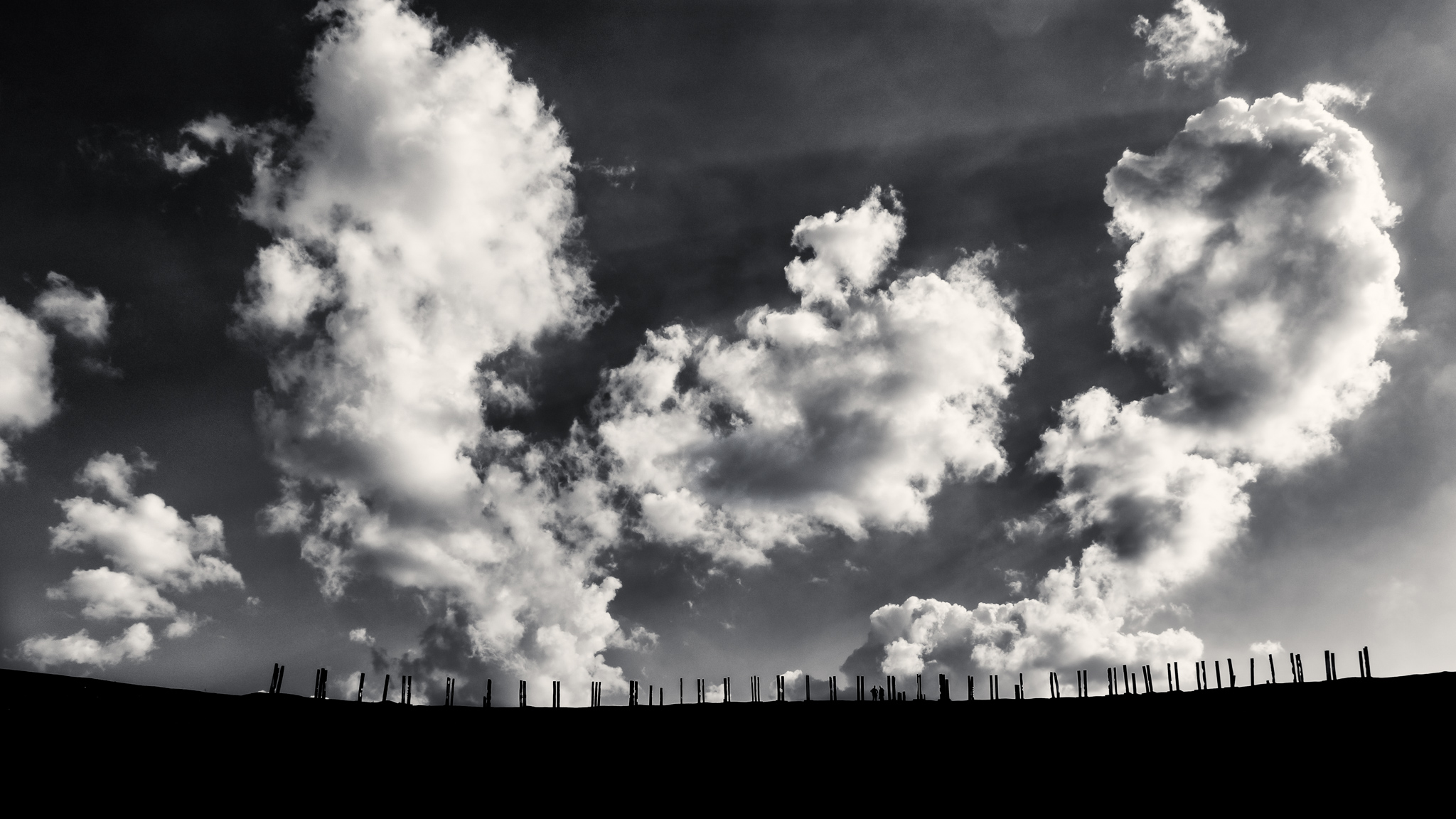 Created with Silver Efex Pro 2 - the de facto standard for black & white conversion