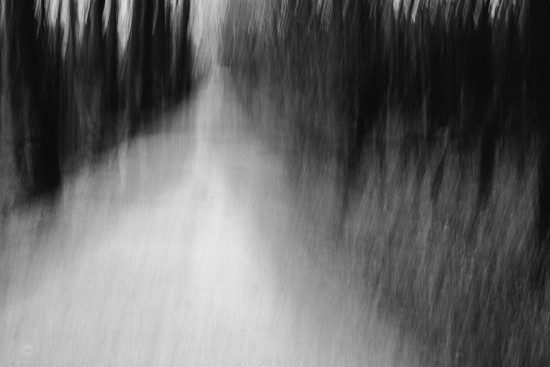 The Path (Work in Progress)