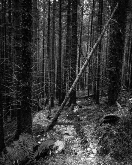 The path is not always clear on the West Highland Way