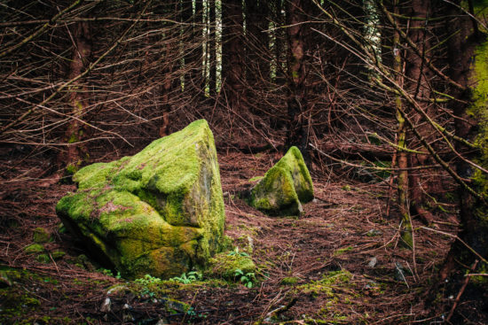 Rocks