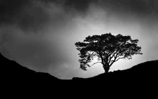 Nikon D7100, Lightroom