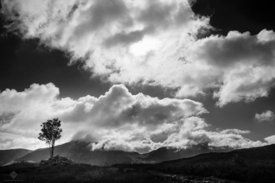 2016-08-01_whw_chm-photography-com_0593-bearbeitet