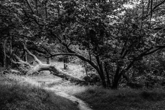 West Highland Way