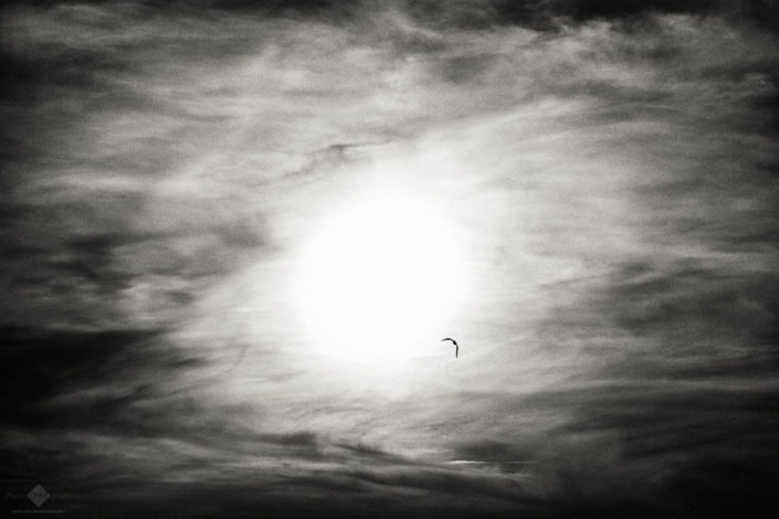 Into the Sun