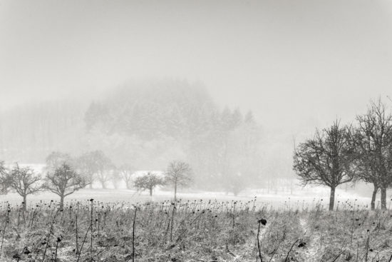 Winter is Coming
