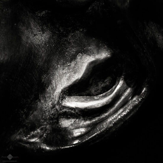 Mulvany's Ear #1 – The Insinuating Mouth