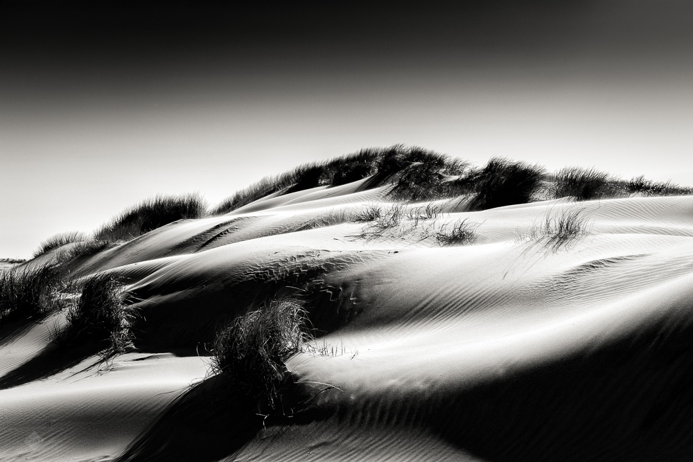 Dunes #18