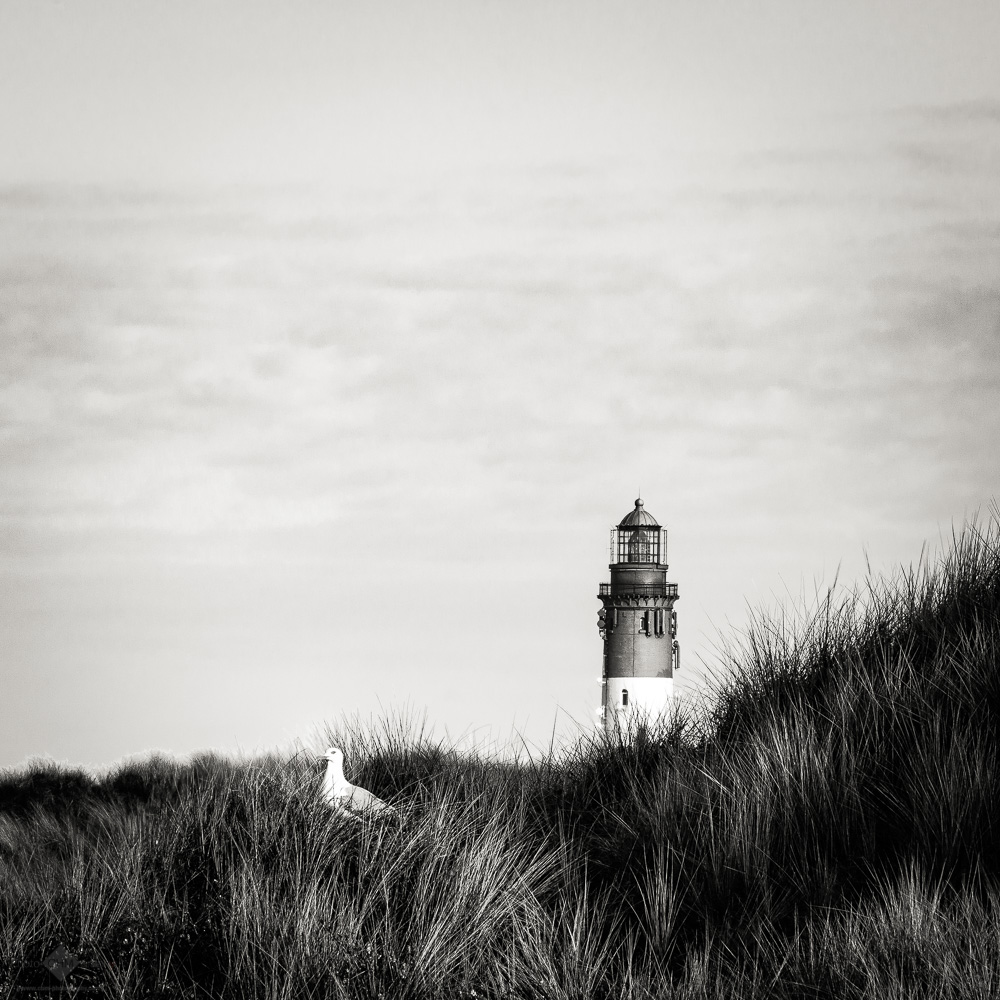 Amrum Lighthouse #3