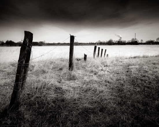 Old Fence