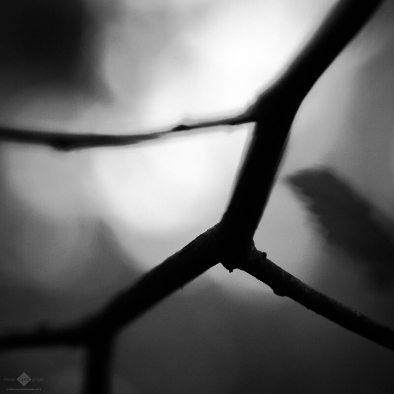Fall