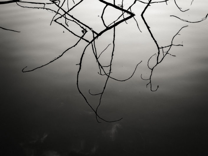 Lakeside Reflection