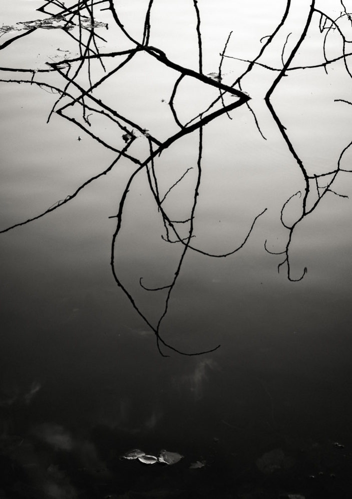 Lakeside Reflection