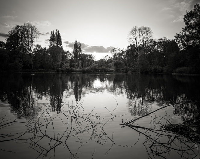Lakeside Reflection #2
