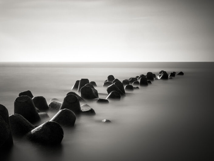 Tetrapods #10