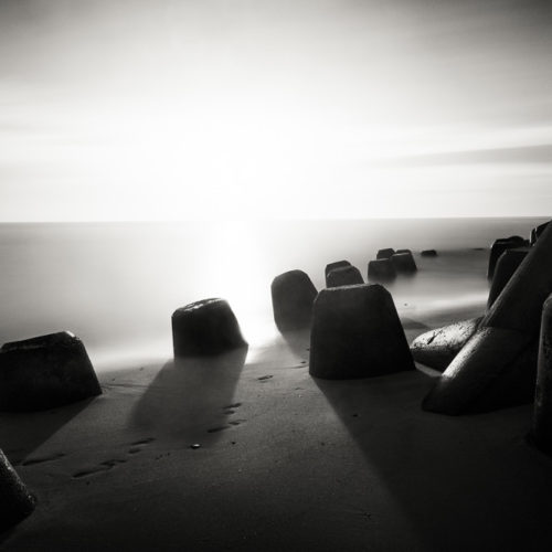 Tetrapods #11