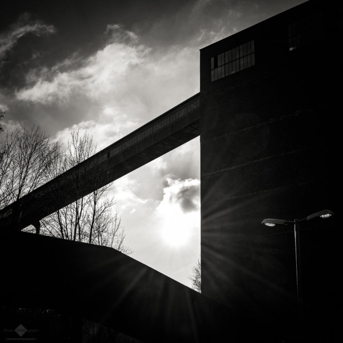 Zollverein Coal Mine Industrial Complex #42