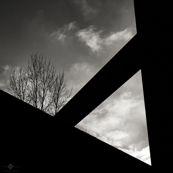 Zollverein Coal Mine Industrial Complex #43