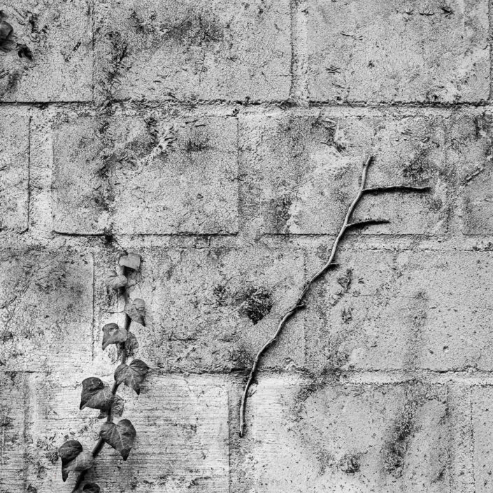 Shadows on the Wall