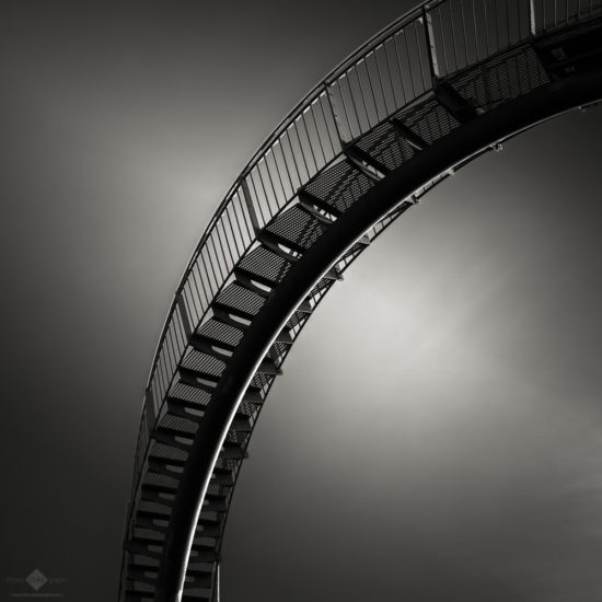Tiger & Turtle #14