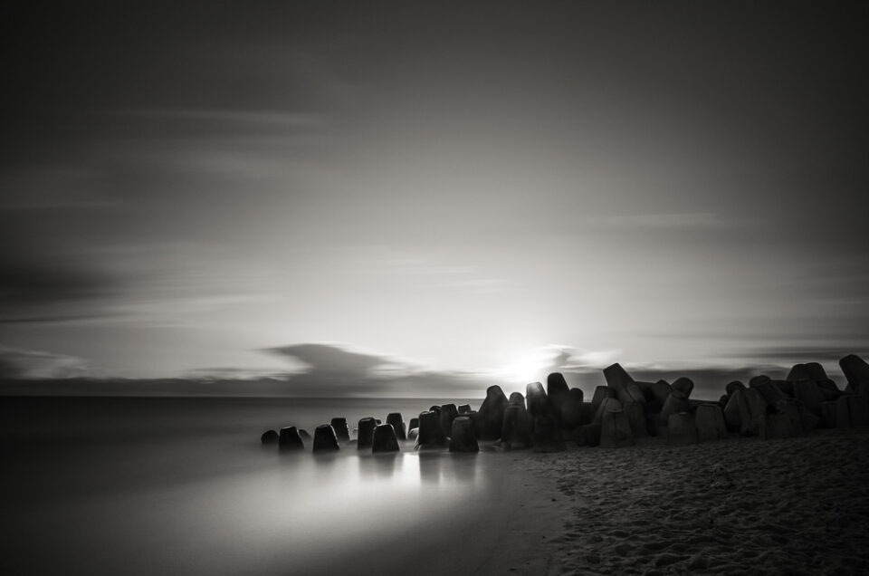 Tetrapods #12