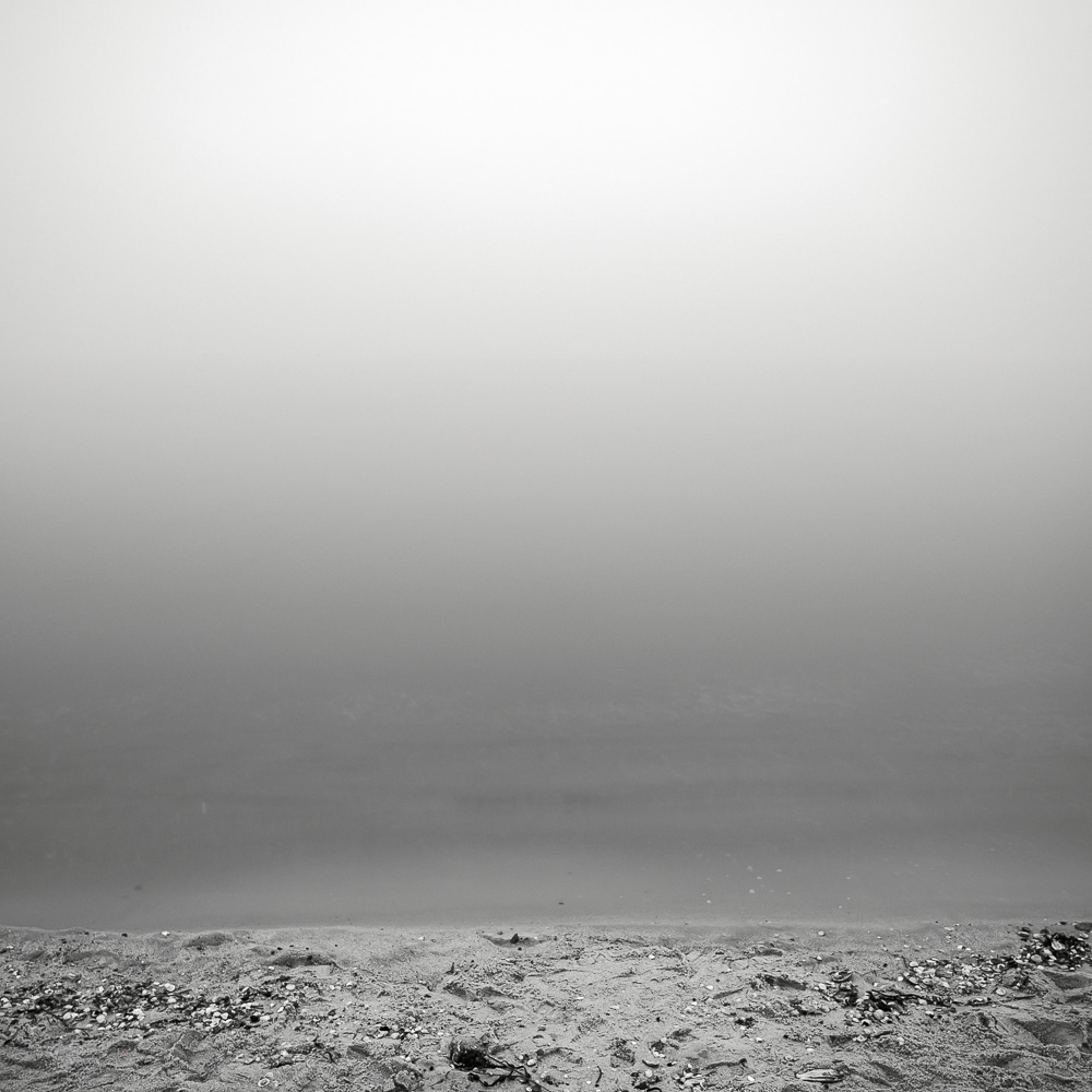 Fog on the Beach
