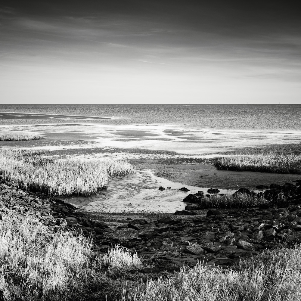 Wadden Sea #2