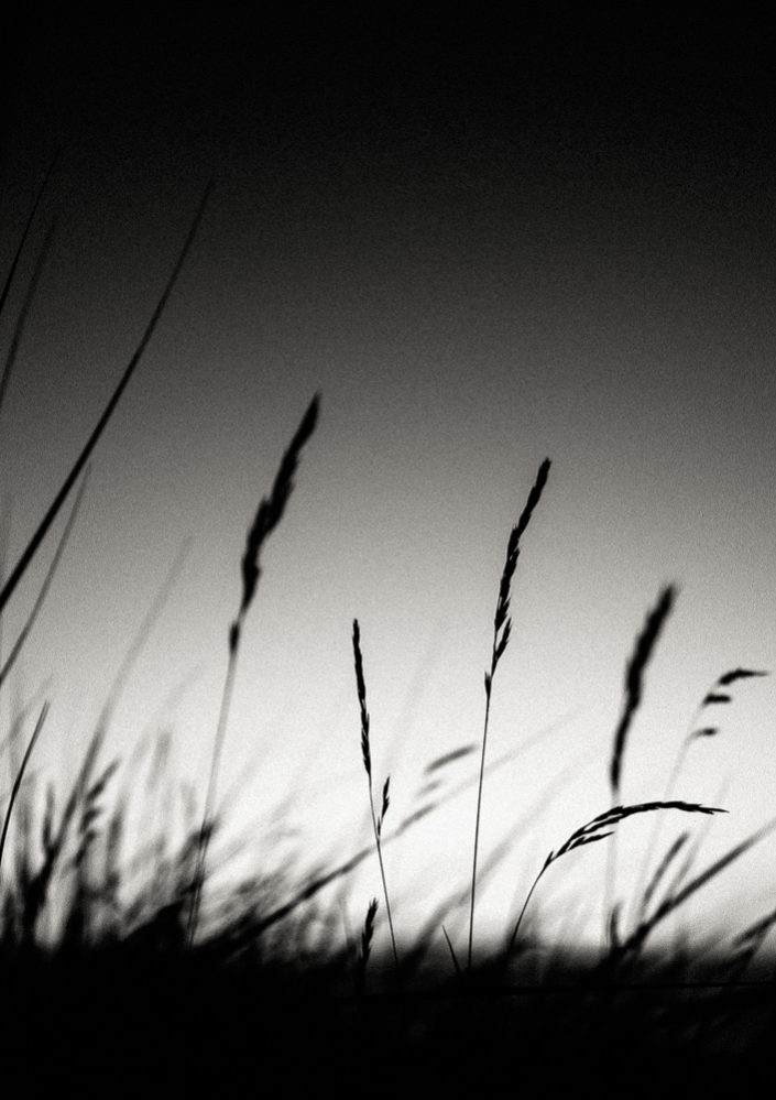 Norderney #282