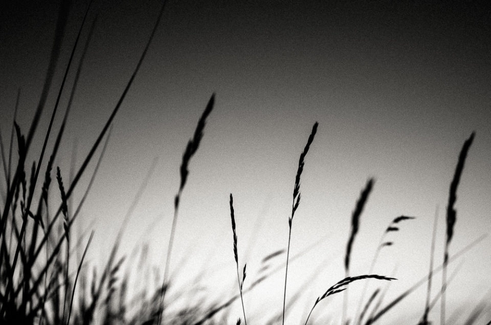 Norderney #282