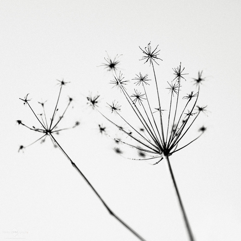 Fall #48