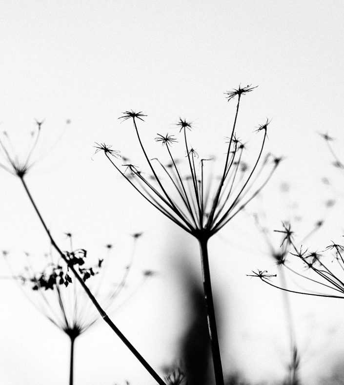 Fall #49