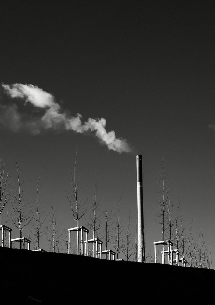 Young Trees and a Chimney