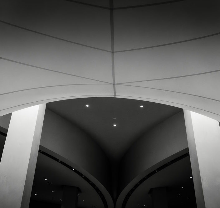 Winton Gallery Ceiling #5
