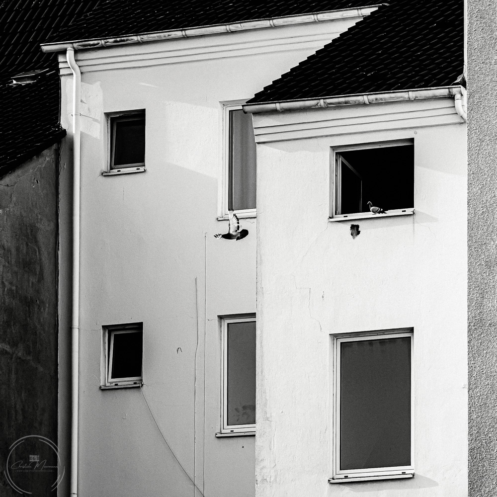 Better Living #13